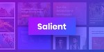Salient [16.1.3] - Русификация премиум темы 🔥💜 - irongamers.ru