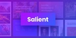 Salient [16.1.3] - Русификация премиум темы 🔥💜