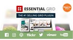 Essential Grid [3.1.1] - Русификация плагина 💜🔥