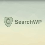 SearchWP [4.3.9] - Русификация плагина 💜🔥 - irongamers.ru