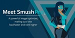 WP Smush Pro [3.15.3] - Русификация плагина 💜🔥