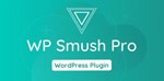 WP Smush Pro [3.15.3] - Русификация плагина 💜🔥