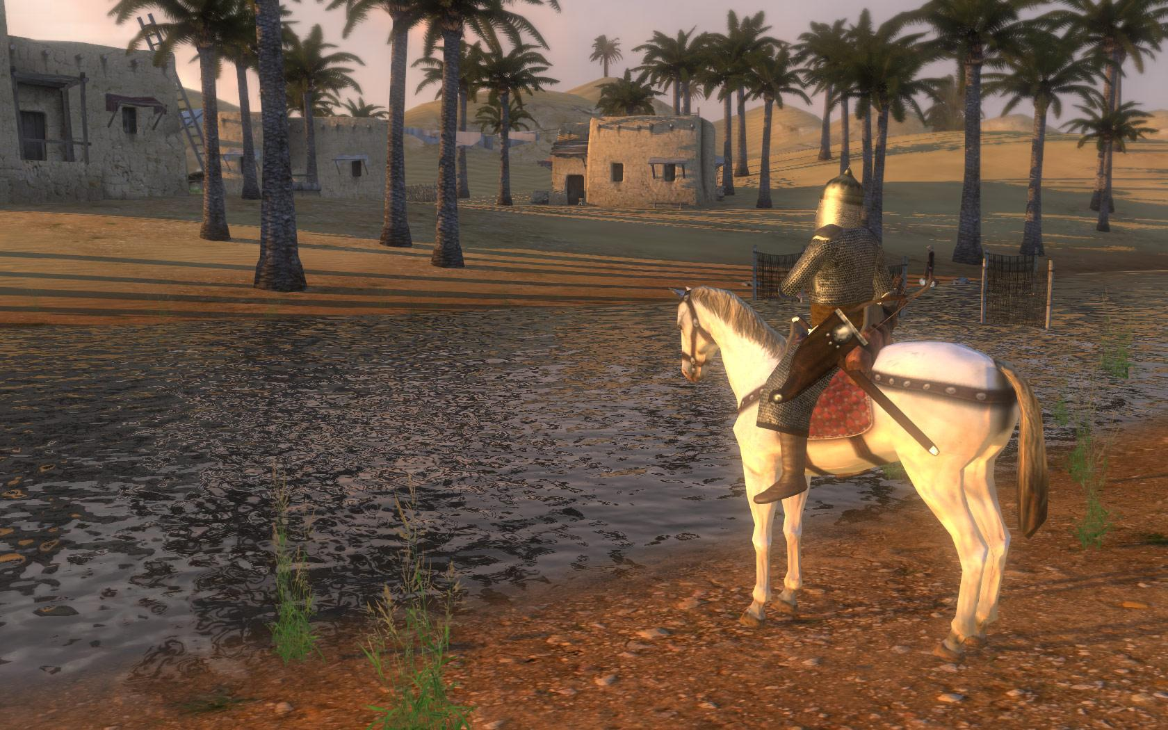 Mount & Blade II Bannerlord + Warband with a warranty ✅