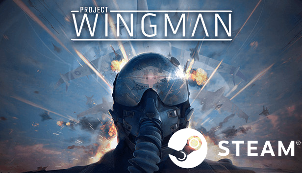 🛩  Project Wingman - STEAM (Region free)