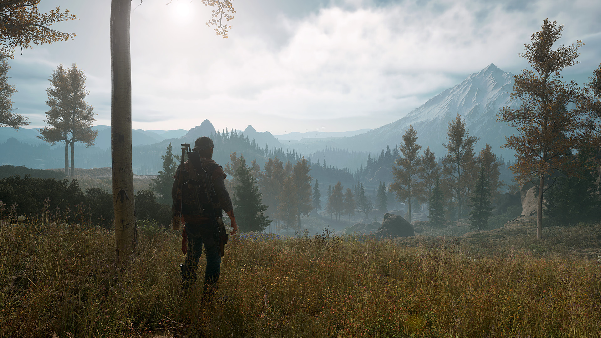 Days gone картинки