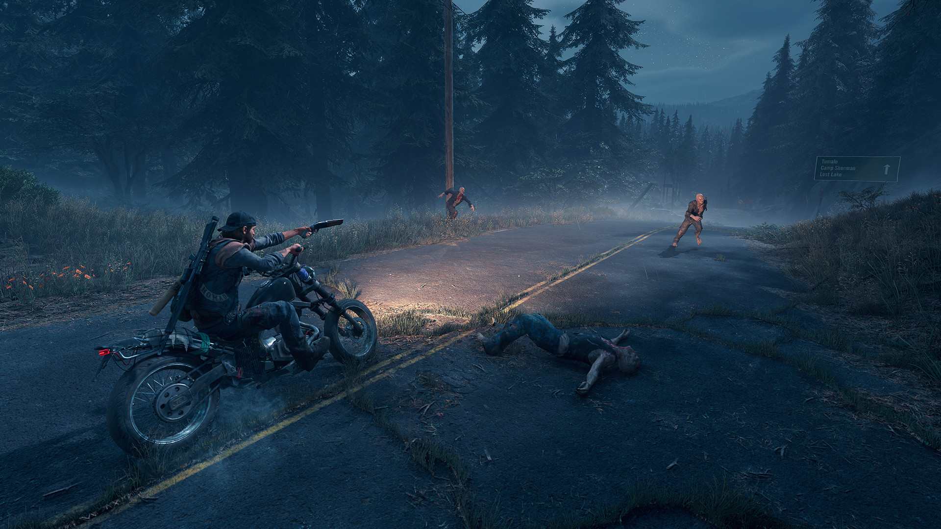 Days gone pc. Days gone. Игра Days gone. Days gone системные требования. Дейс Гон 2.