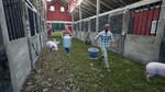 ** Ranch Simulator - STEAM (Region free)