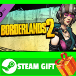 ** Borderlands 2: Mechromancer Beatmaster Pack STEAM