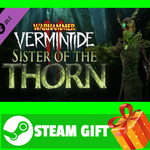⭐️ Warhammer: Vermintide 2 - Sister of the Thorn STEAM