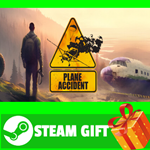 **ВСЕ СТРАНЫ+РОССИЯ** Plane Accident STEAM GIFT