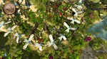 *Defenders of Ardania Collection Steam КЛЮЧ *GLOBAL