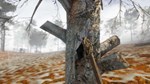 * Animallica Steam КЛЮЧ * GLOBAL