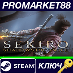 *Sekiro: Shadows Die Twice ASIA Steam КЛЮЧ *КИТАЙ
