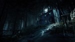 * Blair Witch Steam КЛЮЧ * EU+US