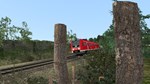 * Train Simulator: Pegnitztalbahn: N*rnberg - Bayreuth