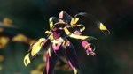 * Digimon Story: Cyber Sleuth Complete Edition FR Steam