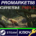 * Green Hell USA Steam КЛЮЧ * АРГЕНТИНА