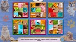 * Sweet Home: Look and Find Collector´s Edition Steam К