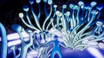 * Oceanarium Steam КЛЮЧ * EU+US