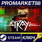 * Stray Steam КЛЮЧ * GLOBAL