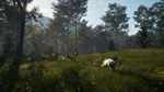 * theHunter: Call of the Wild - Te Awaroa National Park