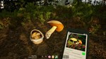 **ВСЕ СТРАНЫ+РОССИЯ** Mushroom Season STEAM GIFT