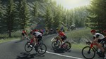 * Tour de France 2023 EU Steam КЛЮЧ * ЕВРОПА