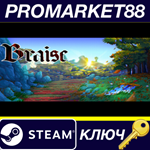 * Braise Steam КЛЮЧ * GLOBAL