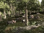 * Gothic 3 EU Steam КЛЮЧ * ЕВРОПА