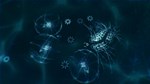 * Sparkle Zero Steam КЛЮЧ * GLOBAL