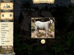 *Adventures of Robinson Crusoe Steam КЛЮЧ *GLOBAL