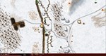 *Close Combat: Cross of Iron Steam КЛЮЧ *GLOBAL