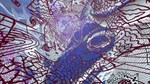 * AnderKant 4 Steam КЛЮЧ * GLOBAL (NO TR)