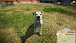 * Animal Shelter Simulator AR XBOX One / Xbox Series X|