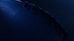 ** EA SPORTS™ Madden NFL 26 Deluxe Edition STEAM GIFT