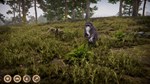 **ВСЕ СТРАНЫ+РОССИЯ** Twilight Tails STEAM GIFT