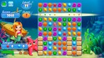 * Aqua Fish Steam КЛЮЧ * GLOBAL (NO TR)
