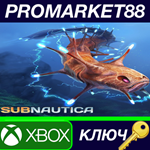 * Subnautica US XBOX One / Xbox Series X|S / Windows 10