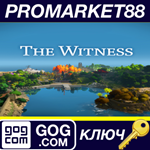 * The Witness GOG КЛЮЧ * GLOBAL