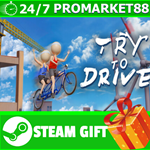 *ВСЕ СТРАНЫ+РОССИЯ Try To Drive STEAM GIFT