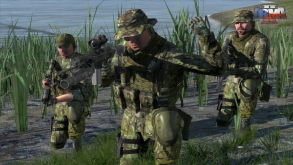 Arma 2 Army of the Czech Republic STEAM KEY REGION FREE