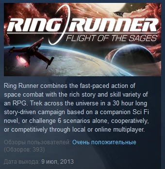 Ring Runner: Flight of the Sages STEAM KEY REGION FREE