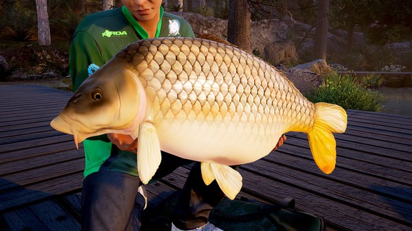 Fishing Sim World: Pro Tour STEAM KEY RU+CIS LICENSE 💎