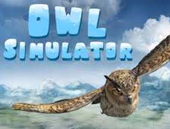 Owl Simulator STEAM KEY REGION FREE GLOBAL