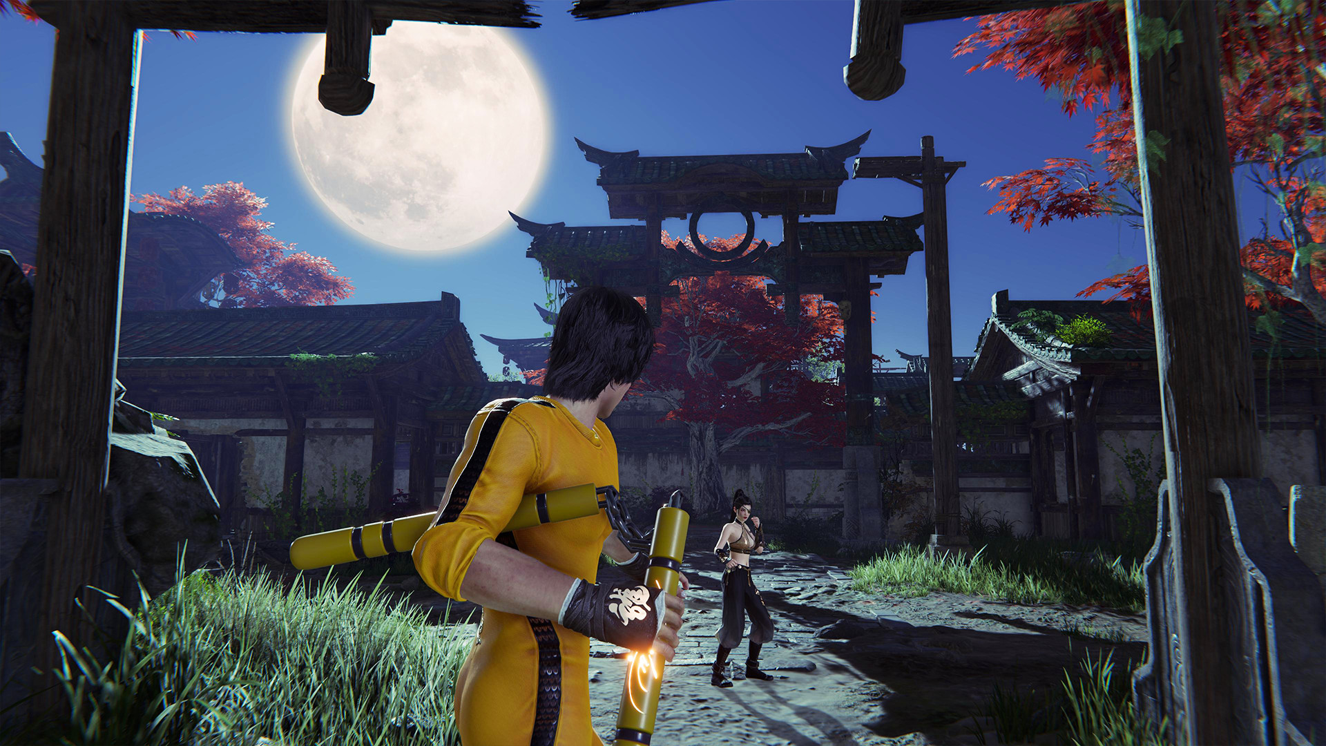 Naraka requires the disabling. Naraka: Bladepoint. Naraka игра. Naraka: Bladepoint - Ultimate Edition. Naraka Blade point.
