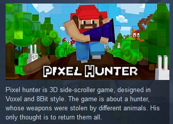 Pixel Hunter ( Steam Key / Region Free )