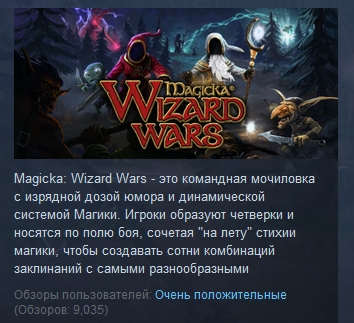 Magicka Wizard Wars Paradox Playtpus Robe DLC STEAM KEY