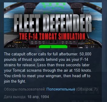 Fleet Defender The F-14 Tomcat Simulation STEAM KEY ROW