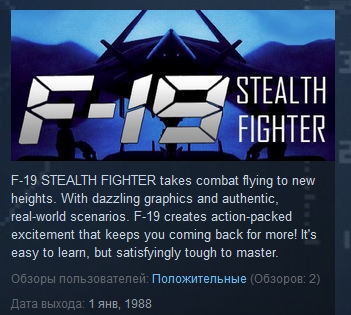 F-19 Stealth Fighter  ( Steam Key / Region Free )