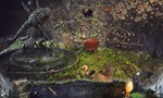 Mystery Castle The Mirror´s Secret * STEAM KEY GLOBAL